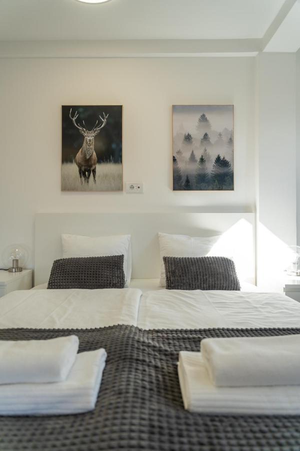 Apartment Grey Mountain Zlatibor Extérieur photo